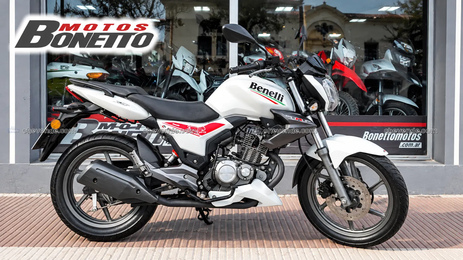 BENELLI TNT 150 - 2021 - BLANCA