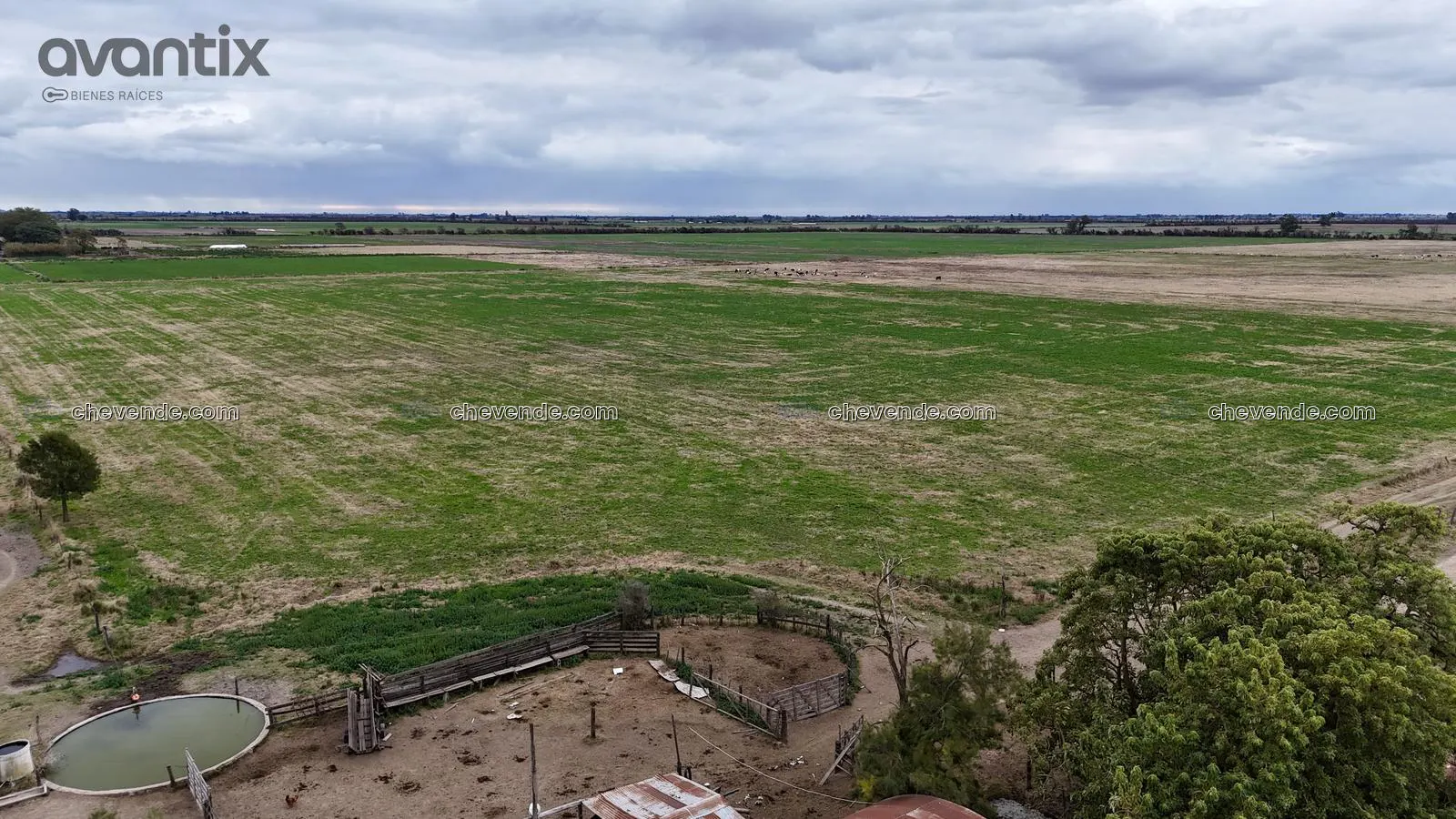 Campo de 72 hectáreas en alquiler en Tacural
