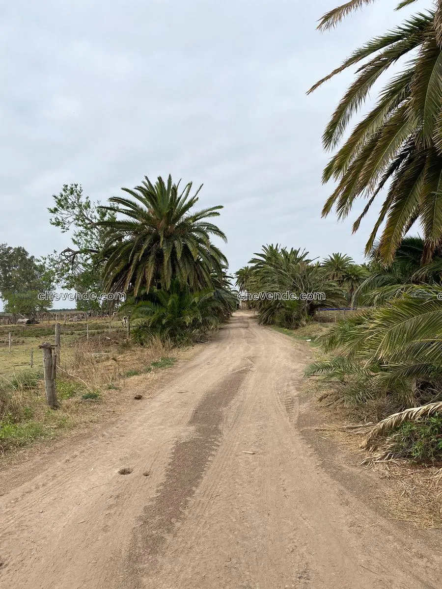 Campo en Tacural