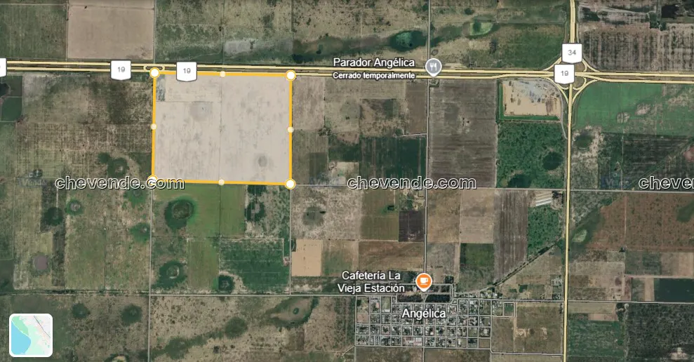 VENTA CAMPO GANADERO 130 HA ANGELICA - Dirección Inmobiliaria