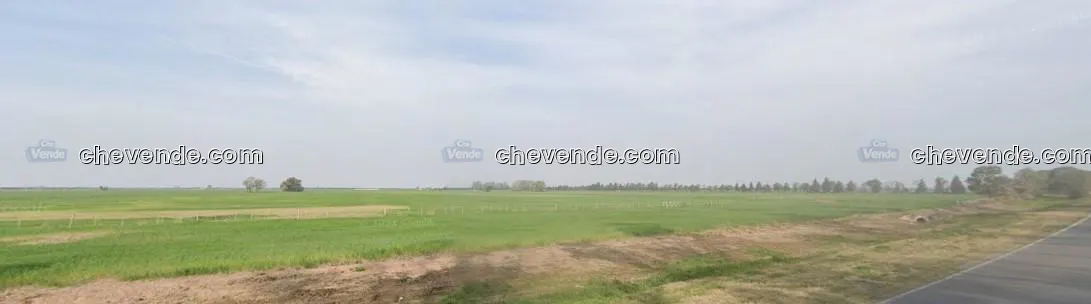 Campo Agricola sobre Ruta 34 (Lehmann)