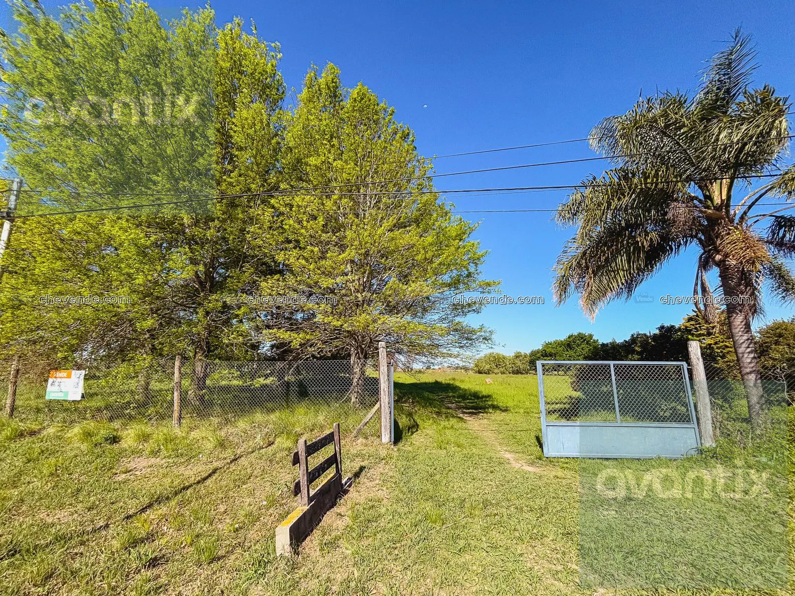 Lote 600 m2 en Nuevo Torino