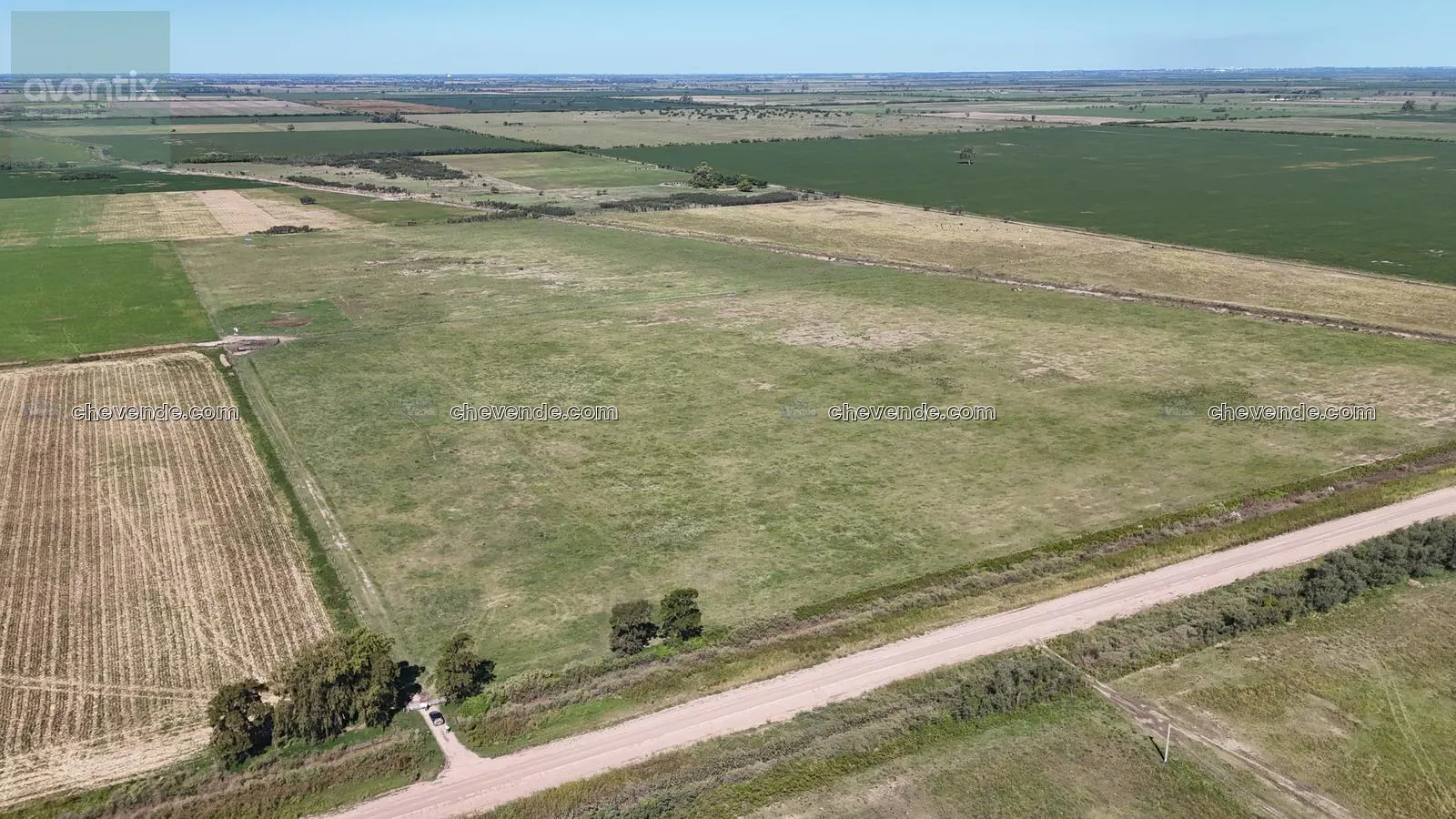 Campo de 66 hectáreas en Egusquiza