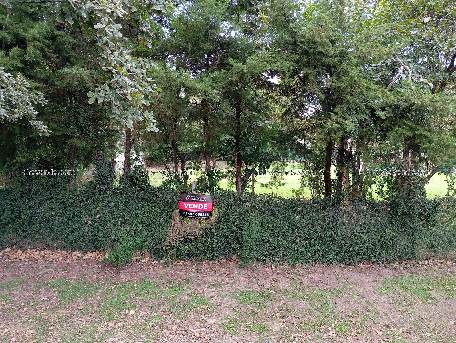 Terreno con todos los servicios!