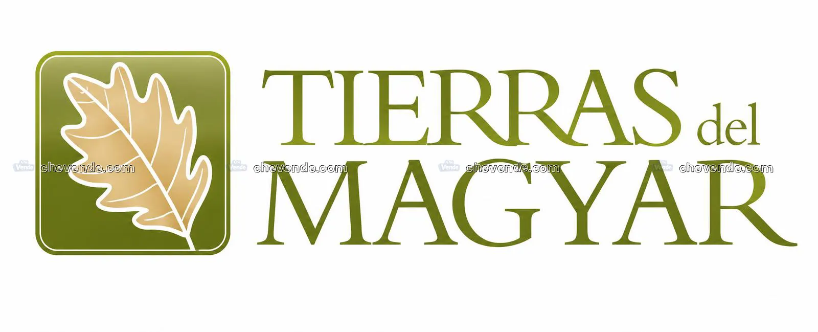 LOTEO TIERRAS DEL MAGYAR 00