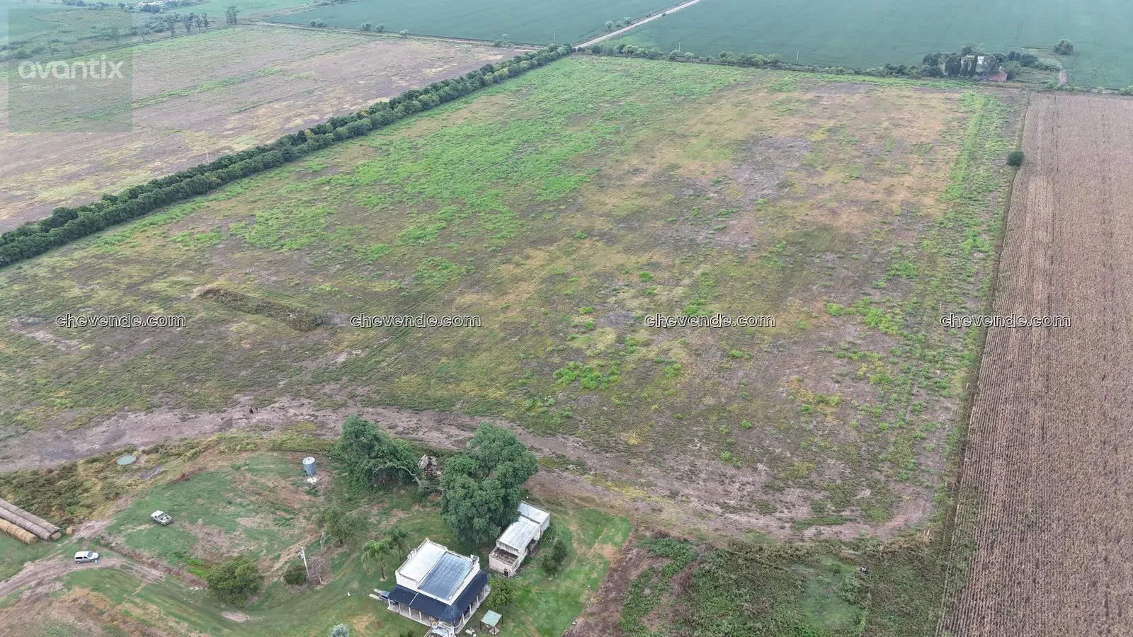 Campo de alta productividad en Rafaela