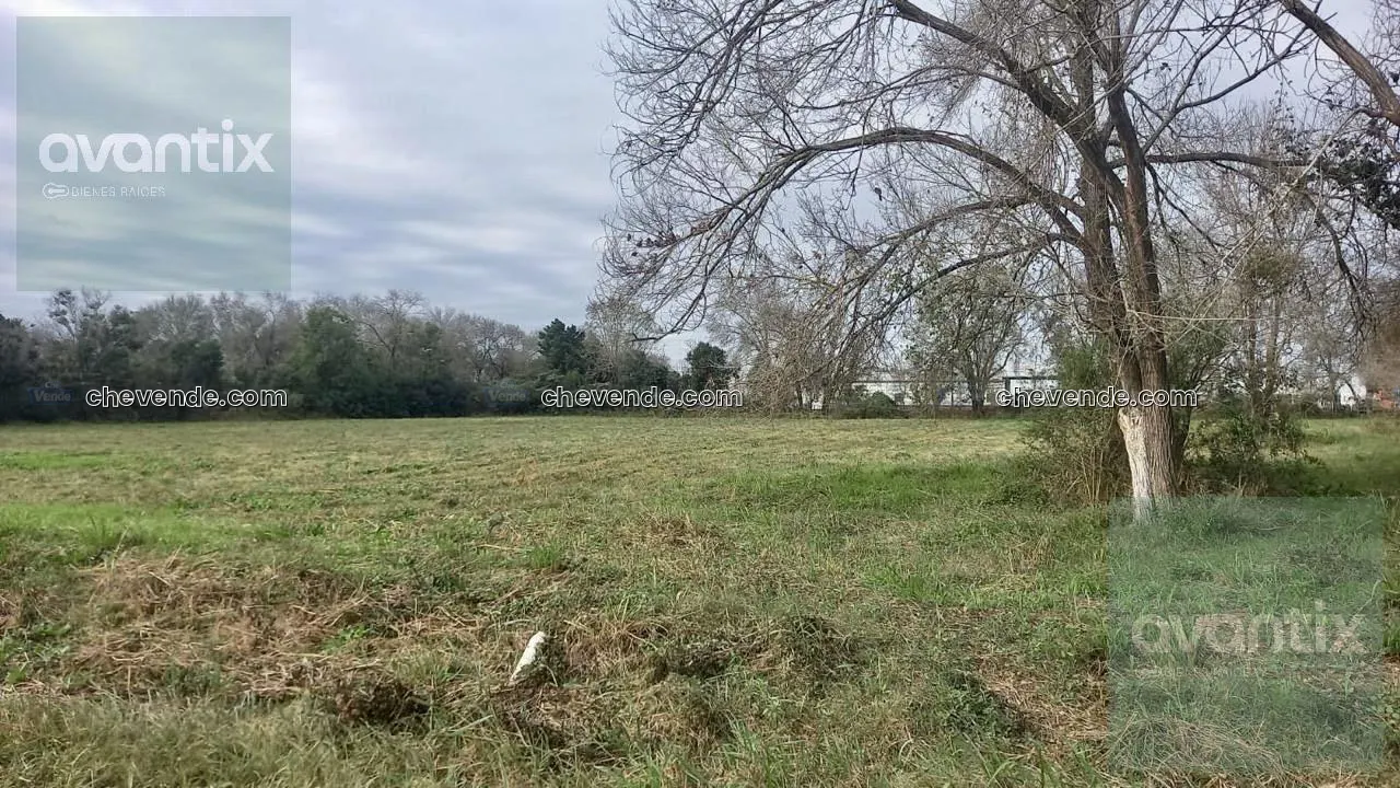 Terreno de una hectárea en Ataliva