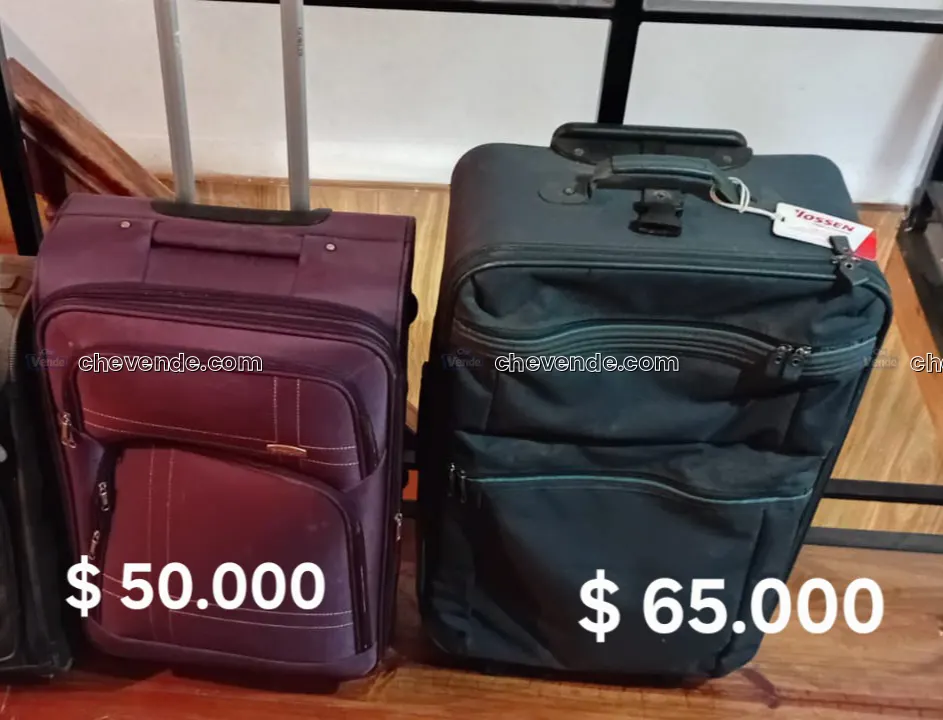 2 Valijas grande y mediana - Muy buen estado