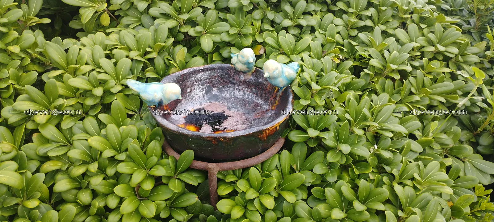 Bebedero para pájaros de cerámica