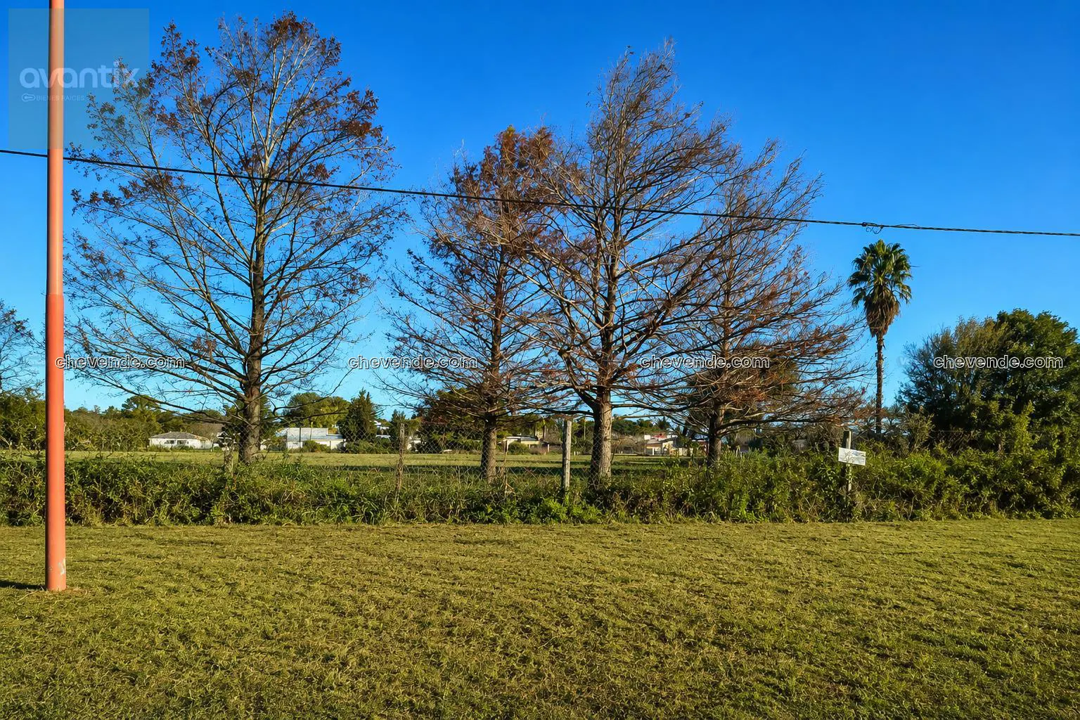 Lote de 550 m² en Nuevo Torino